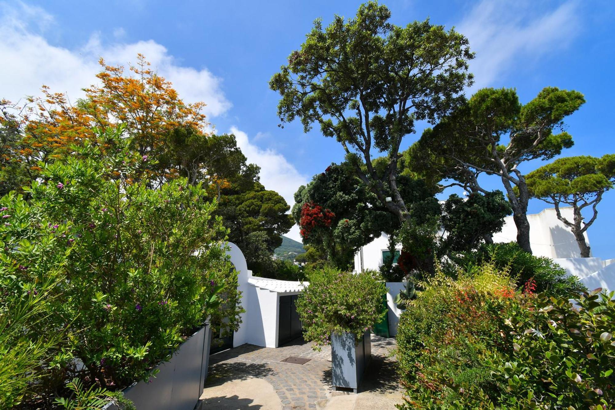B&B Villa Lentisco Ischia Exterior photo